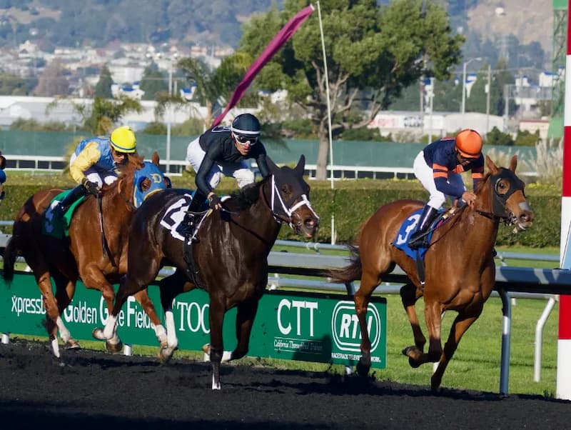 đánh giá kỹ năng lực nài ngựa 