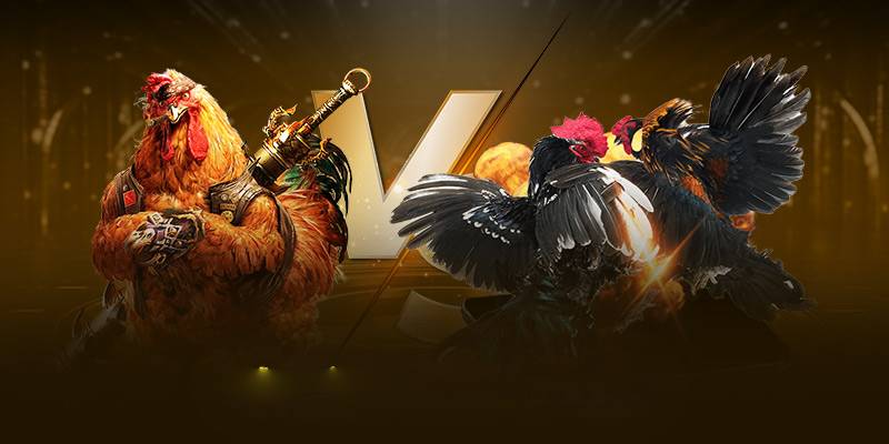 Nhiều loại hình đá gà WS168 FANVIP