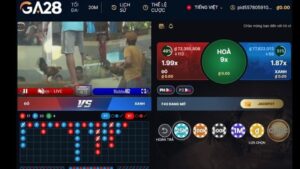 Sảnh đá gà GA28 tại FANVIP