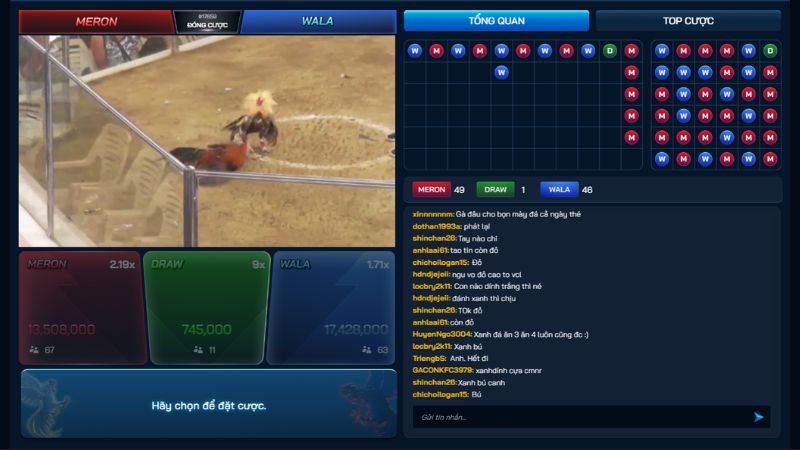 Đá gà 2 Giao diện cá cược đá gà tại Fanvip thiết kế chuyên nghiệp